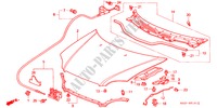 MANTICE(RH) per Honda CIVIC COUPE 1.6ILS 2 Porte 5 velocità manuale 2000