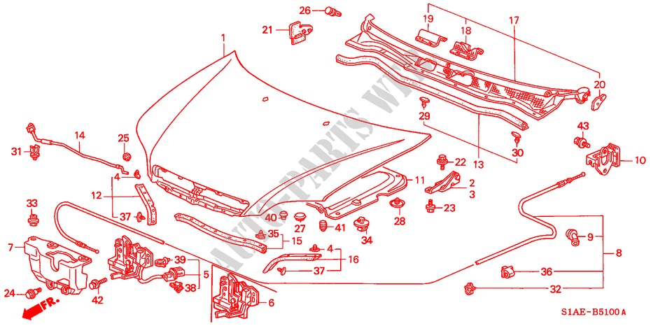MANTICE(LH) per Honda ACCORD 2.0IES 4 Porte 5 velocità manuale 2000
