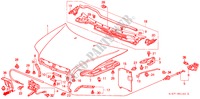 MANTICE(LH) per Honda CIVIC AERODECK 2.0ITD 5 Porte 5 velocità manuale 2000