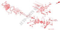 POMPA ACQUA/SENSORE(1.6L) per Honda ACCORD 1.6ILS 5 Porte 5 velocità manuale 2001