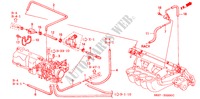 TUBI(L4)(1) per Honda ACCORD COUPE 2.0IES 2 Porte 5 velocità manuale 2001
