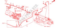 TUBI(L4)(2) per Honda ACCORD COUPE 2.0IES 2 Porte 5 velocità manuale 2000