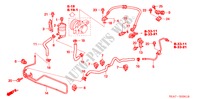 LINEE P.S.(HPS) (RH) per Honda ACCORD 2.4 TYPE S 4 Porte 6 velocità manuale 2005