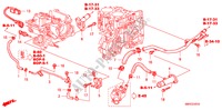 TUBO ACQUA(DIESEL) per Honda CIVIC 2.2 TYPE-S    PLUS 3 Porte 6 velocità manuale 2010