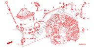CONDOTTO ATF(2.4L) per Honda CR-V RV-SI 5 Porte 5 velocità automatico 2010