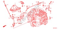 CONDOTTO ATF(2.4L) per Honda CR-V 2.4 ELEGANCE 5 Porte 5 velocità automatico 2011