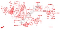 POMPA ACQUA(L4) per Honda ACCORD 2.4 EX 4 Porte 5 velocità automatico 2011