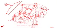 BARDATURA FILO(3) (LH) per Honda ACCORD 2.2 EXECUTIVE 4 Porte 6 velocità manuale 2009