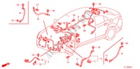 BARDATURA FILO(1)(RH) per Honda ACCORD 2.2 EXECUTIVE 4 Porte 6 velocità manuale 2010