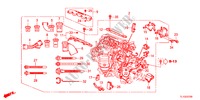 BARDATURA FILO MOTORE(2.0L) per Honda ACCORD 2.0 COMFOT 4 Porte 6 velocità manuale 2012