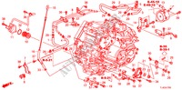CALIBRO LIVELLO OLIO/CONDOTTO ATF(DIESEL) per Honda ACCORD TOURER 2.2 EXECUTIVE 5 Porte 5 velocità automatico 2011