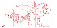 STABILIZZATORE ANTERIORE/ BRACCIO INFERIORE ANT. per Honda JAZZ VTI-S 5 Porte 5 velocità manuale 2003