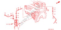 CAMERA ASPIRATORE(2) per Honda INTEGRA GS-R 4 Porte 4 velocità automatico 2000