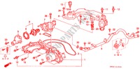 POMPA ACQUA/SENSORE(V6) per Honda ACURA 3.2TL 3.2TL 4 Porte 4 velocità automatico 1996