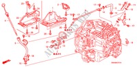 CONDOTTO ATF(2.4L) per Honda CR-V 4WD 5 Porte 5 velocità automatico 2009