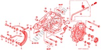 PORTATORE DIFFERENZIALE per Honda LEGEND LEGEND 4 Porte 4 velocità automatico 2000