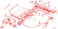 MANTICE (LH) per Honda ACCORD DIESEL 2.2 LUXURY 4 Porte 5 velocità automatico 2014
