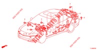 BARDATURA FILO (2) (LH) per Honda ACCORD DIESEL 2.2 COMFORT 4 Porte 6 velocità manuale 2015