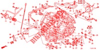 CALIBRO LIVELLO OLIO/CONDOTTO ATF (DIESEL) per Honda ACCORD TOURER DIESEL 2.2 S 5 Porte 5 velocità automatico 2014