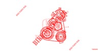 CINGHIA DELL'ALTERNATORE (DIESEL) (1.6L) per Honda CIVIC DIESEL 1.6 EXECUTIVE 5 Porte 6 velocità manuale 2013