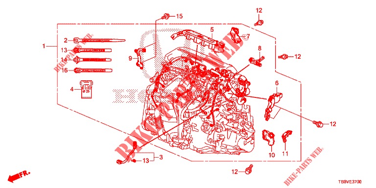 BARDATURA FILO MOTORE (DIESEL) per Honda CIVIC TOURER DIESEL 1.6 ELEGANCE L 5 Porte 6 velocità manuale 2017