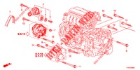 AUTO TENSIONE  per Honda JAZZ 1.4 ESL 5 Porte pieno automatica 2012