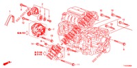 AUTO TENSIONE  per Honda JAZZ 1.4 LS 5 Porte 5 velocità manuale 2012