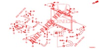 TUBO RADIATORE/SERBATOIO DI RISERVA (DIESEL) per Honda CIVIC DIESEL 1.6 EXECUTIVE 5 Porte 6 velocità manuale 2014
