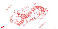 BARDATURA FILO (2) (RH) per Honda ACCORD 2.0 EX 4 Porte 5 velocità automatico 2013