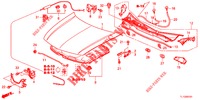 MANTICE (RH) per Honda ACCORD DIESEL 2.2 EX 4 Porte 5 velocità automatico 2013