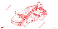 BARDATURA FILO (2) (RH) per Honda ACCORD TOURER 2.4 S 5 Porte 5 velocità automatico 2014