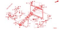 TUBO RADIATORE/SERBATOIO DI RISERVA (DIESEL) per Honda CIVIC DIESEL 1.6 EXGT 5 Porte 6 velocità manuale 2016